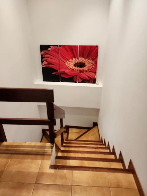 Duplex Rua Sol - Netflix Apartman Laxe Kültér fotó